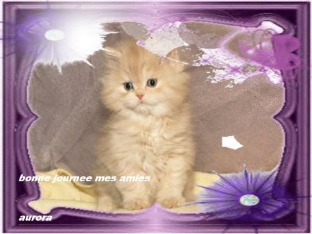 bonne journee