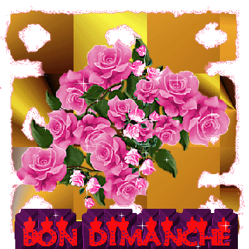 bon dimanche