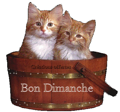 bon dimanche