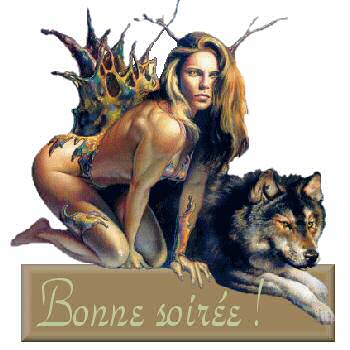 bonne soiree
