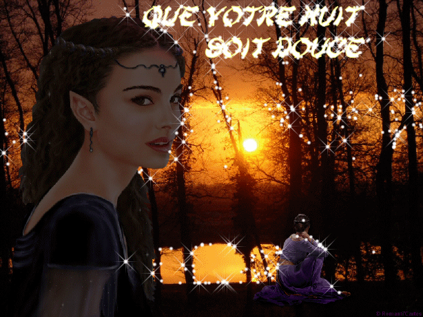 bonne soiree