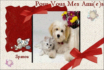 merci spanou