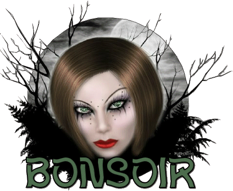 bonne soiree