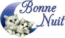 bonne soiree