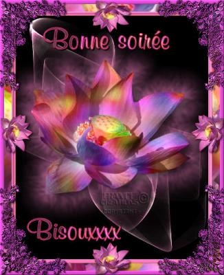 bonne soiree