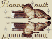 bonsoir a tous