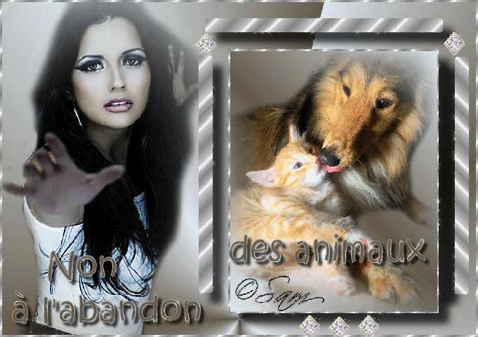 non a l'abandon