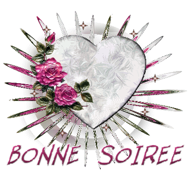 bonne soiree