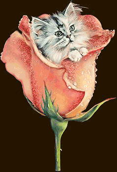 bonne journee