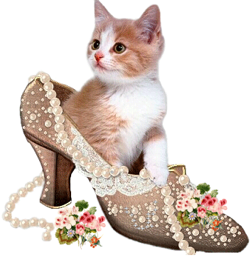 bonne soiree