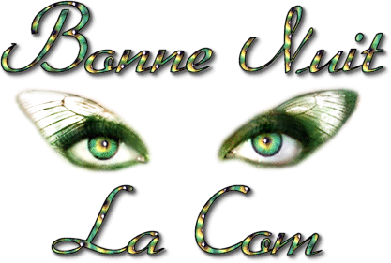 bonne soiree