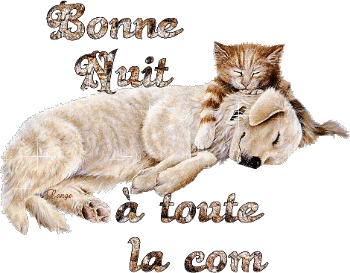 bonne nuit