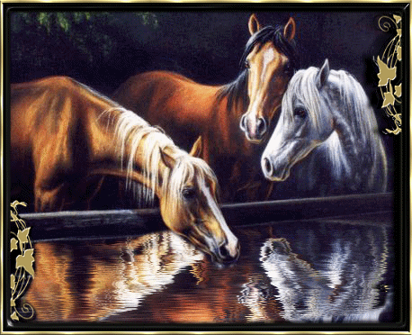 bonne soiree douce nuit