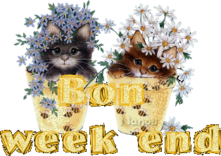bon week end