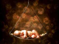 bonne journee