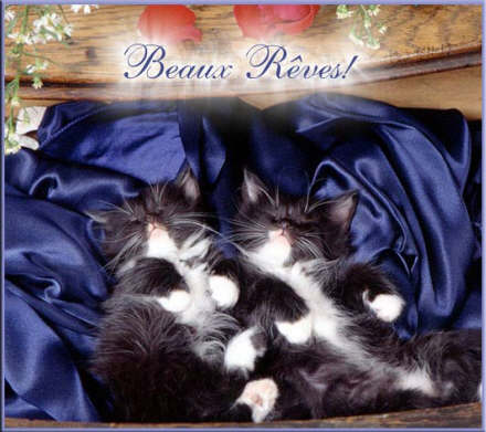 bonne soiree