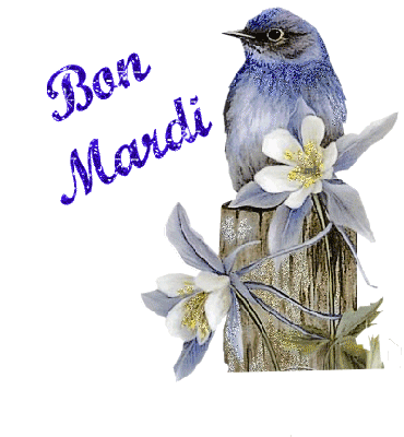 bon mardi