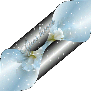 bon jeudi