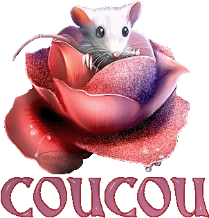 bon mardi