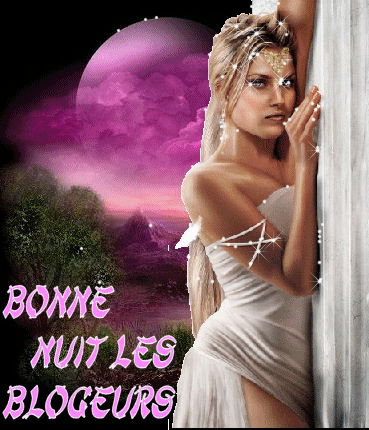 bonne soiree