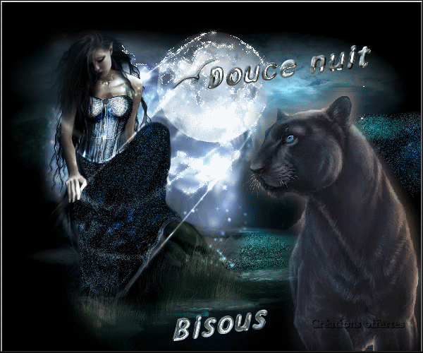 bonne soiree