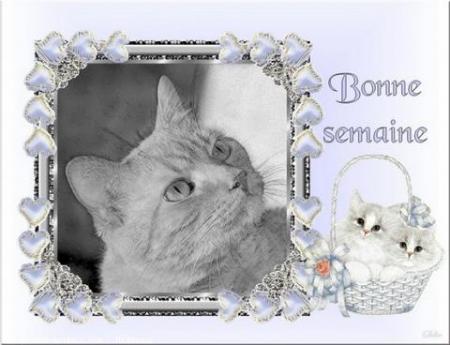 bonne semaine